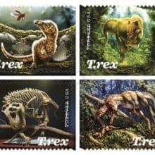 Numerous T-Rex Pictorial Postmarks Celebrating 2019 Tyrannosaurus Rex Forever Stamps