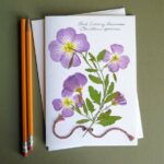 Read more about the article Primrose wildflowers note card