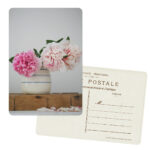 Read more about the article Peonies Postcard Set by Sadie Olive