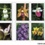 Read more about the article USPS Wild Orchids Stamps arriving February 21 2020