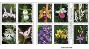 USPS Wild Orchids Stamps arriving February 21 2020