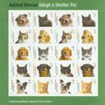 Adopt a Shelter Pet Stamps