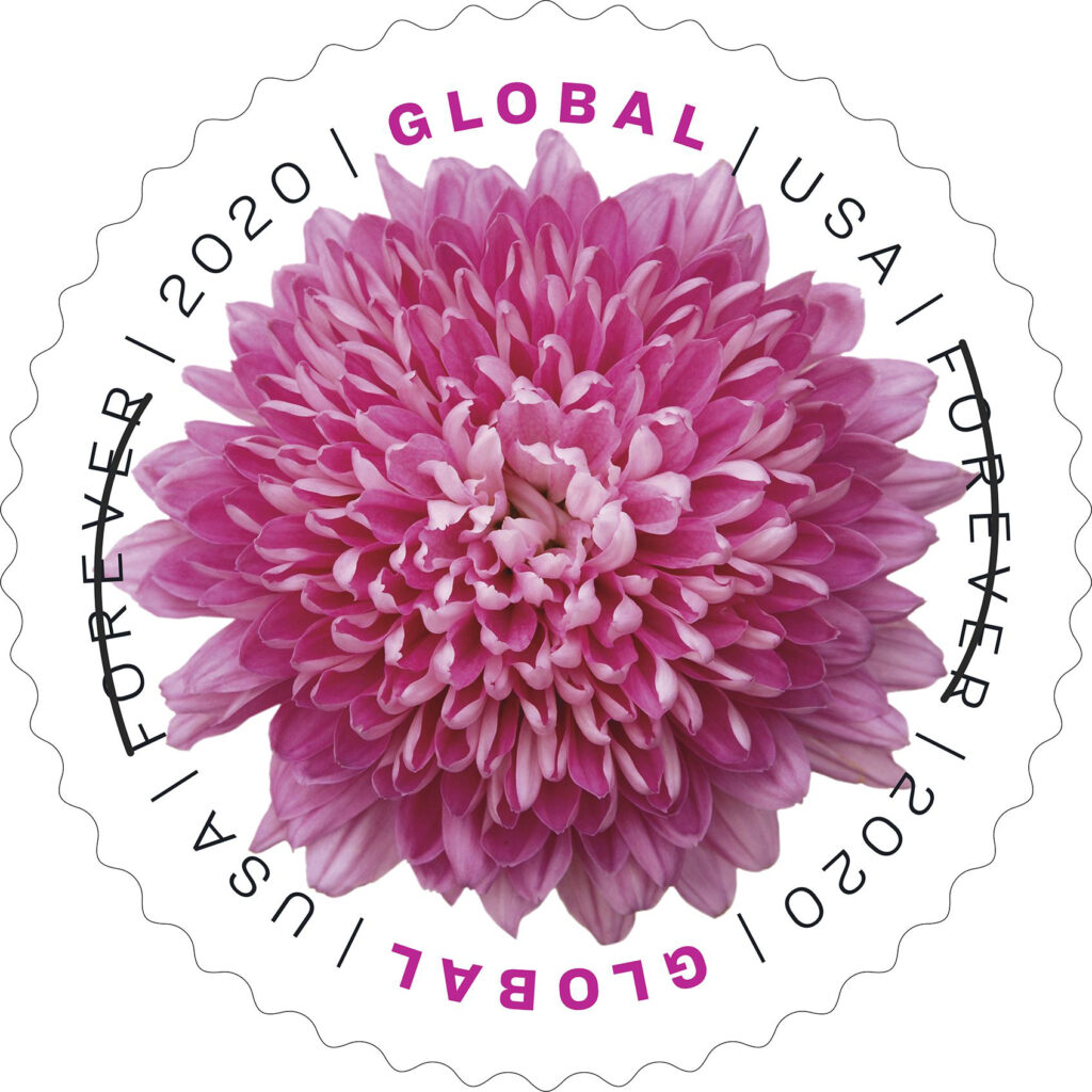 Chrysanthemum Global Forever Stamp 2020