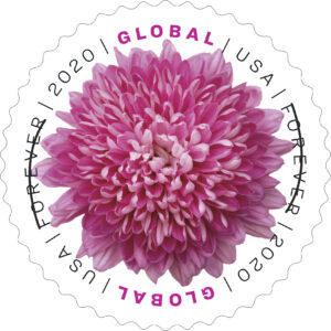 Chrysanthemum Global Forever Stamp