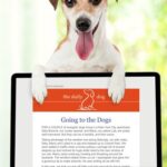 Read more about the article The Daily Dog Digital Devotional from Guideposts