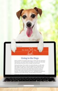 Daily Dog Digital Devotional