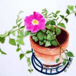 Read more about the article Petunia Watercolor Note Cards