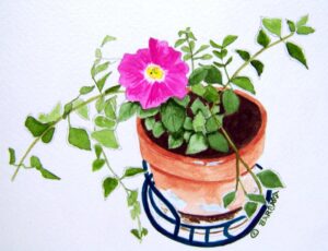 Petunia Watercolor Note Cards