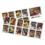 Read more about the article Looking for Purple Bell Peppers amid Fruits and Vegetables stamps