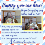 Read more about the article Happy You Are Here! snail mail sign up