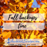 Read more about the article Fall time backups