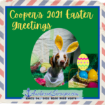 Read more about the article Cooper’s 2021 Easter Greetings