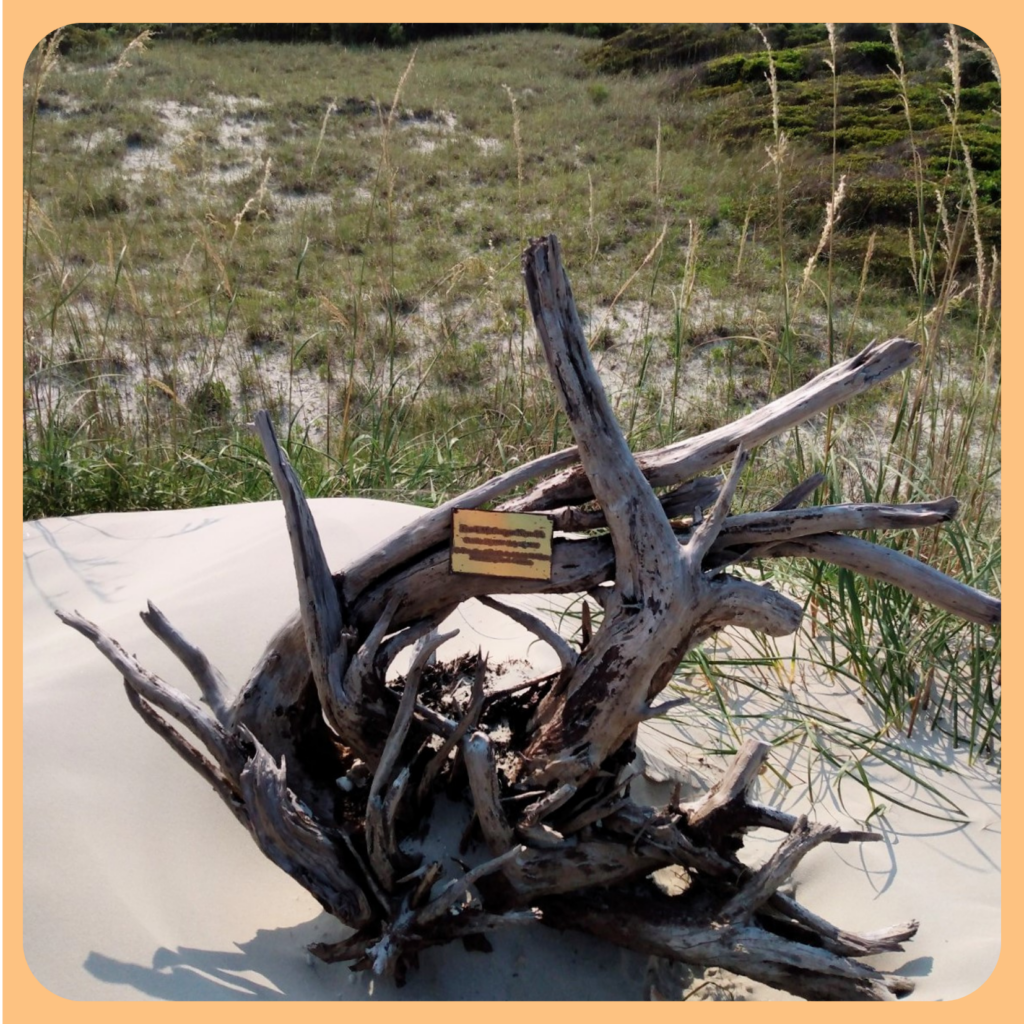 Honoring Frank Nesmith Bird Island NC Kindred Spirit Mailbox ©AnchoredScraps