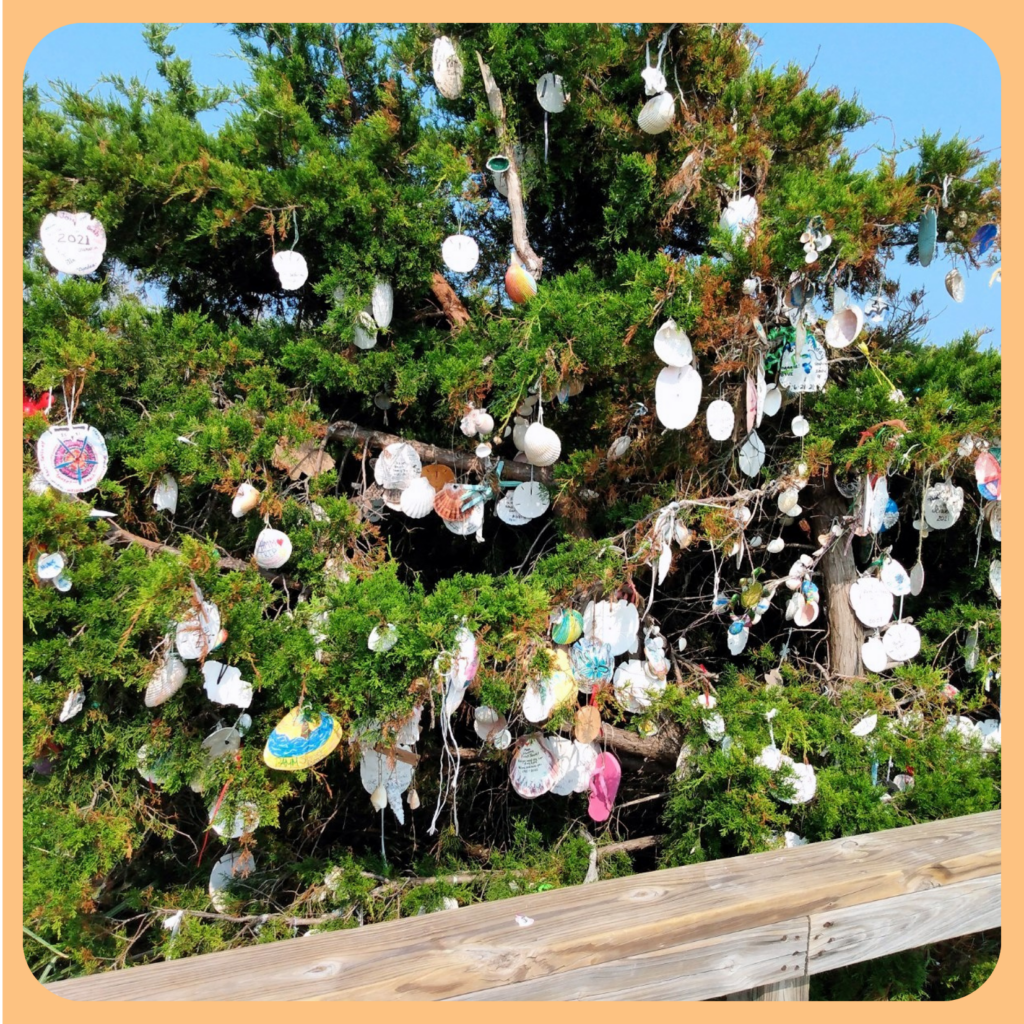 Decorated Shrubs along the 40th Street Walkway to Bird Island NC ©AnchoredScraps