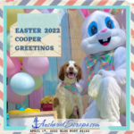 Read more about the article Easter 2022 Cooper Greetings