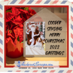 Read more about the article Cooper Sending Merry Christmas 2022 Greetings