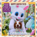 Read more about the article Cooper’s Happy Easter 2023 & National Letter Writing Month